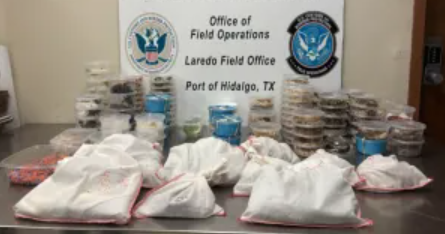 Featured image for Border Patrol Seizes 163 Exotic Creatures in Texas Smuggling Bust
