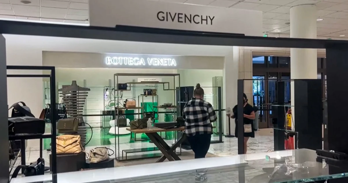 Featured image for Burglars' Heist at LA Mall: $100K Luxury Goods Stolen, Guards Fend Off with Bear Spray