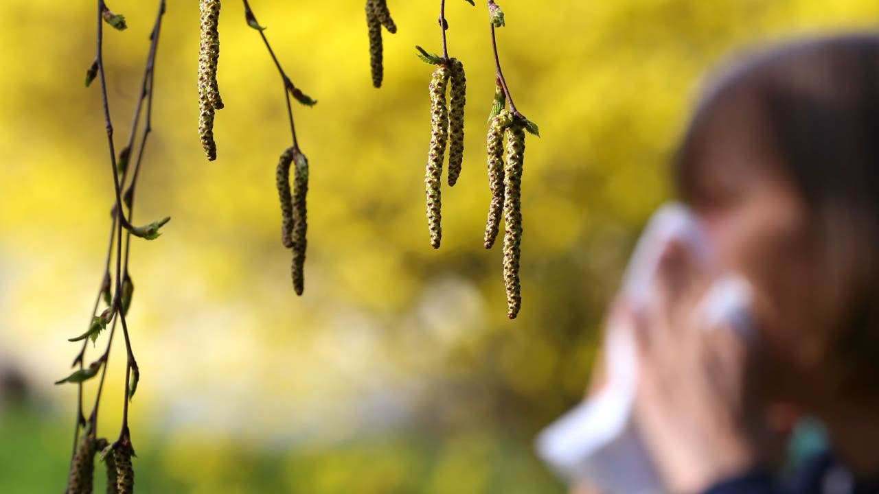 Featured image for Worsening Spring Allergies: Expert Insights and Health Recommendations.
