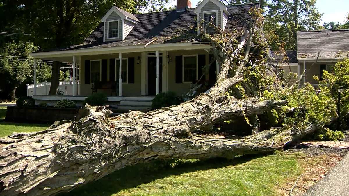 Severe Storms Ravage Massachusetts, Leaving Destruction in Their Wake