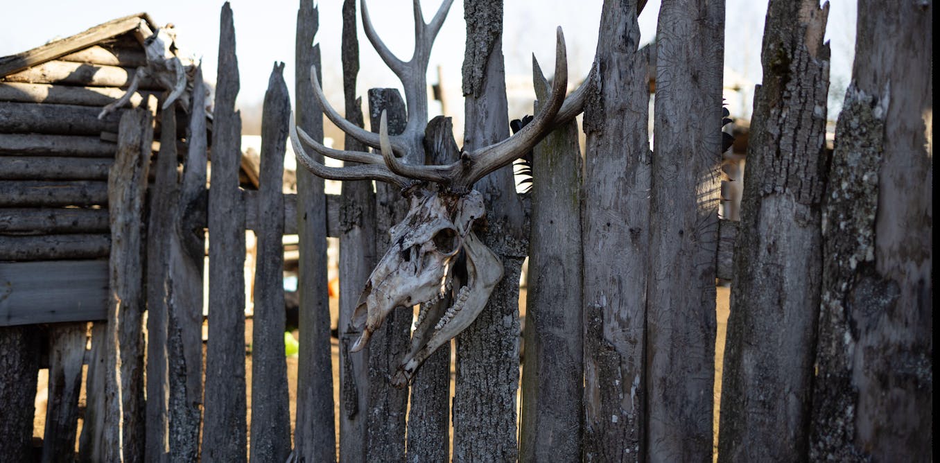 Featured image for "Rising Concerns as Zombie Deer Disease Spreads to Humans"