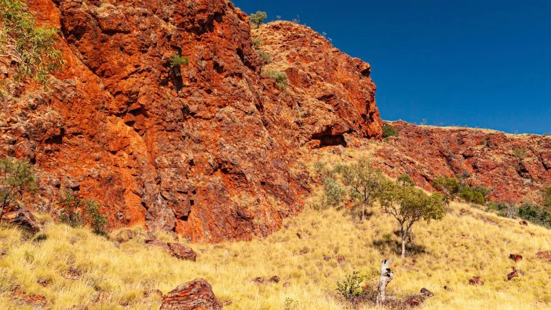 Ancient rocks reveal Earth's plates were already moving 3.5 billion years ago