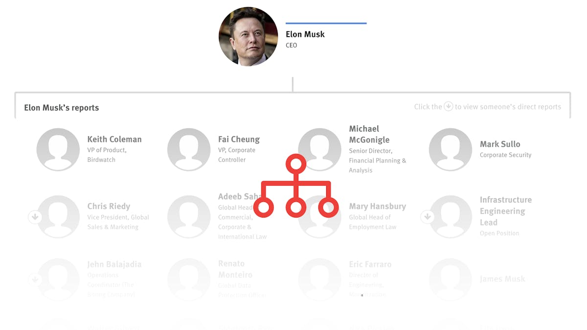 "Elon Musk's Choice for Twitter CEO and the Challenges Ahead"