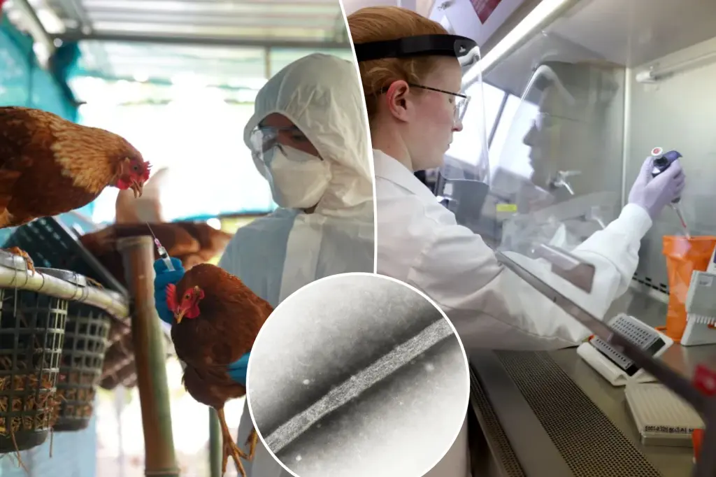 Canada Reports First Suspected Human Bird Flu Case in Teen