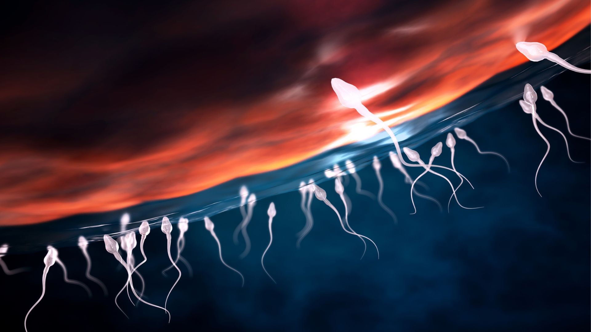 Featured image for Decoding the Unconventional Physics of Sperm Motion