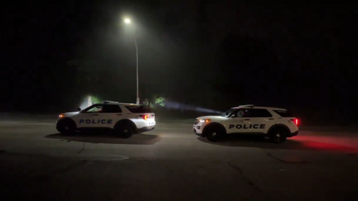 Featured image for Cincinnati Police Confirm All Tigers Accounted For After Reported Sighting