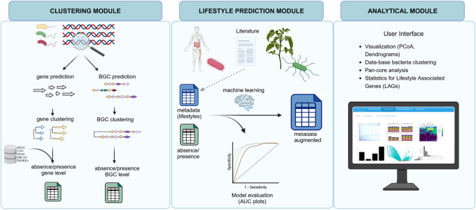 Featured image for "bacLIFE: Predicting Lifestyle-Associated Genes in Bacteria with User-Friendly Genome Analysis"