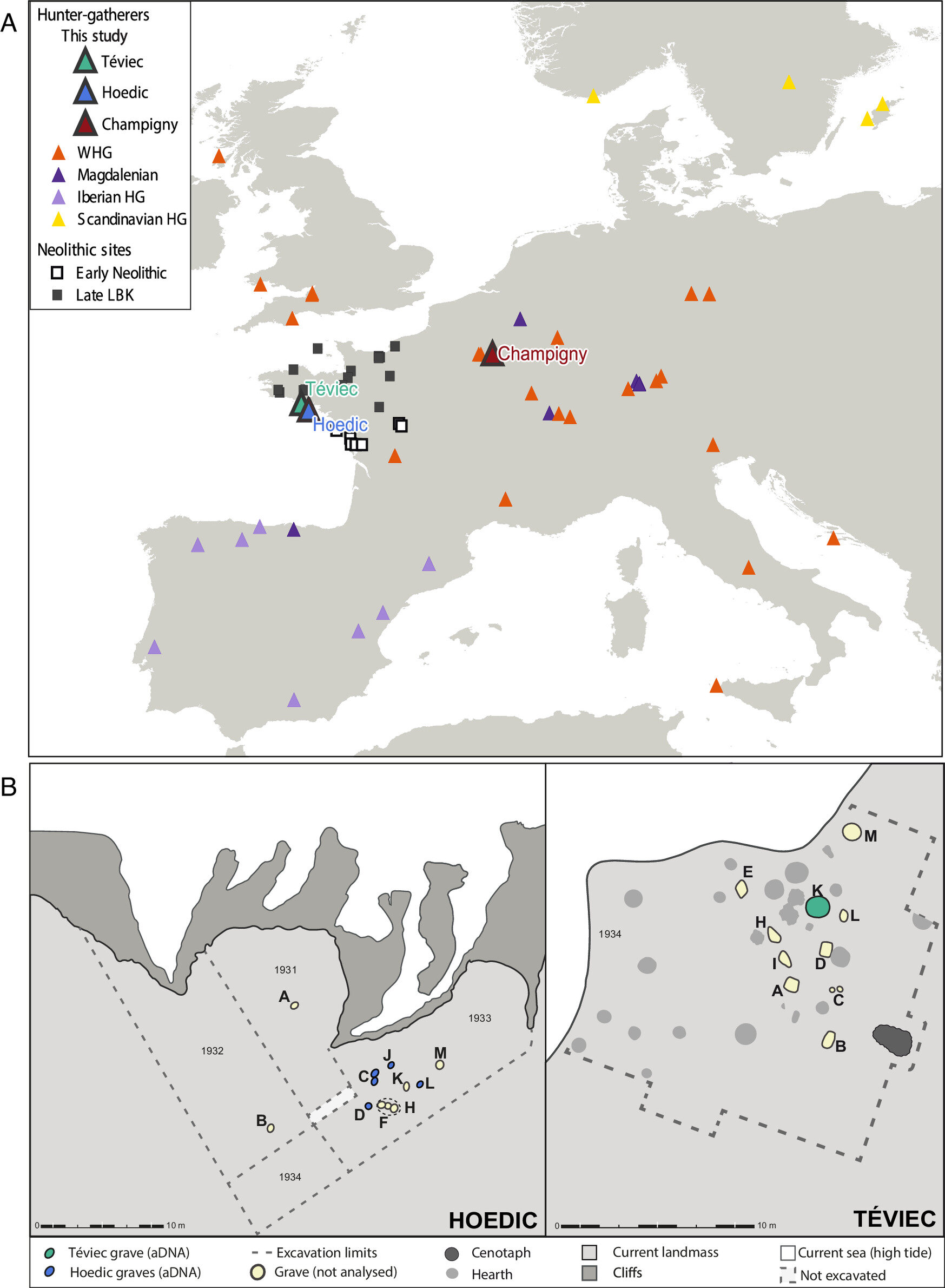 "Stone Age Genetic Strategy for Inbreeding Avoidance Revealed"