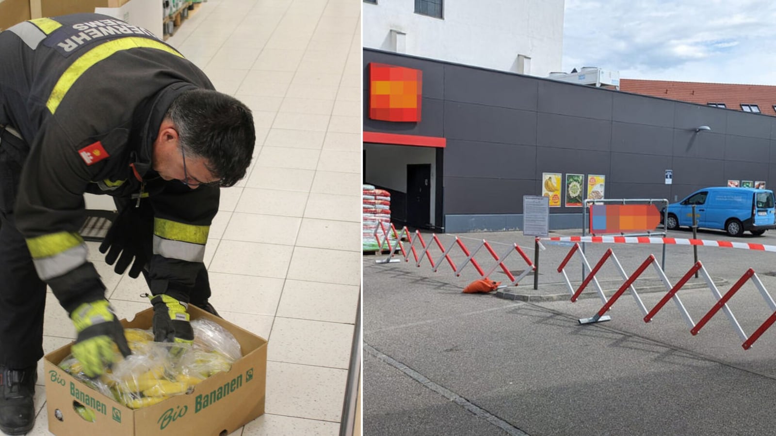 Featured image for "Supermarket Chaos: Erection-Inducing Spider Forces Evacuation"