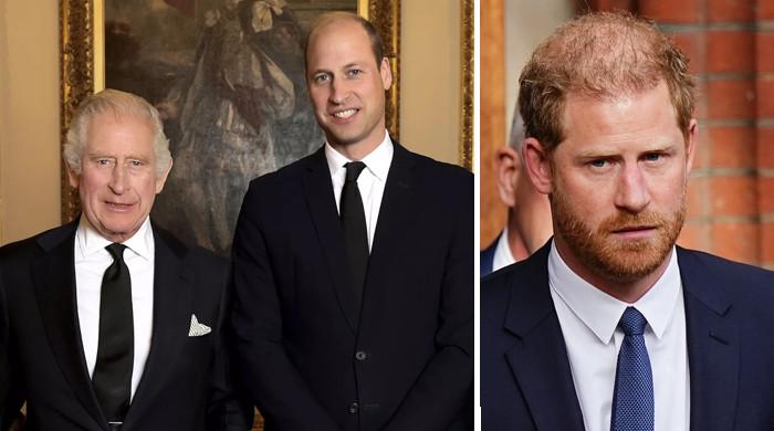 "Royal Reassurances: Prince Harry's Future and Return to Duties"