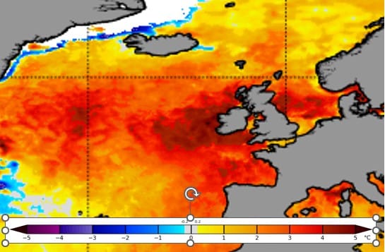 "Concerns Rise Over North Atlantic Marine Heatwave's Impact on Marine Life and Weather Patterns"