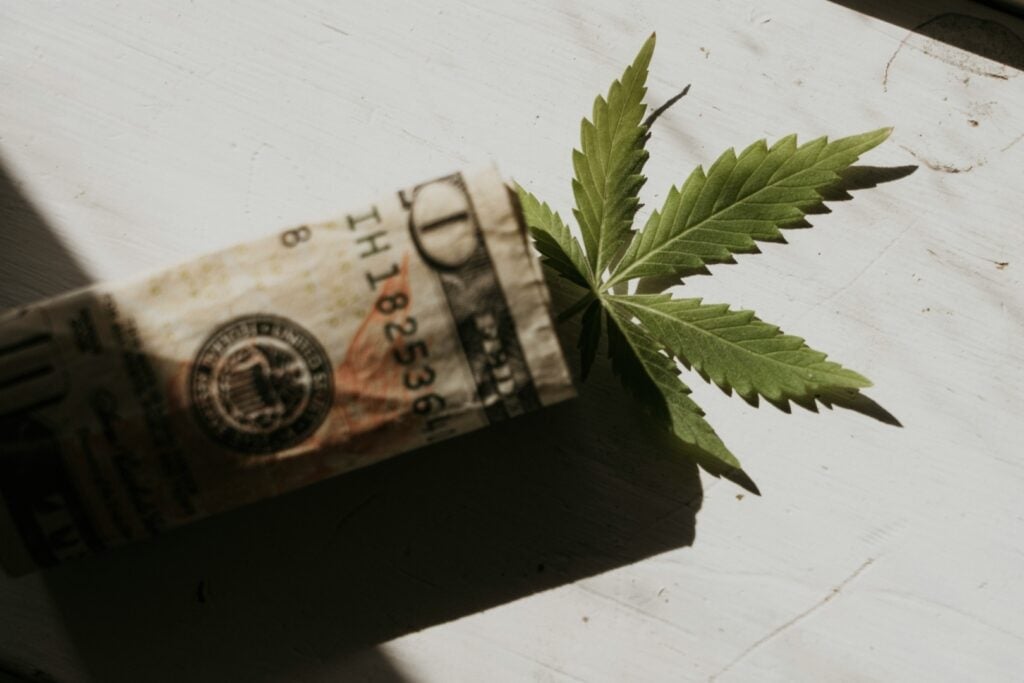 Featured image for Canopy Growth Sees 7% Revenue Boost and Narrowed Losses in Q4 FY2024