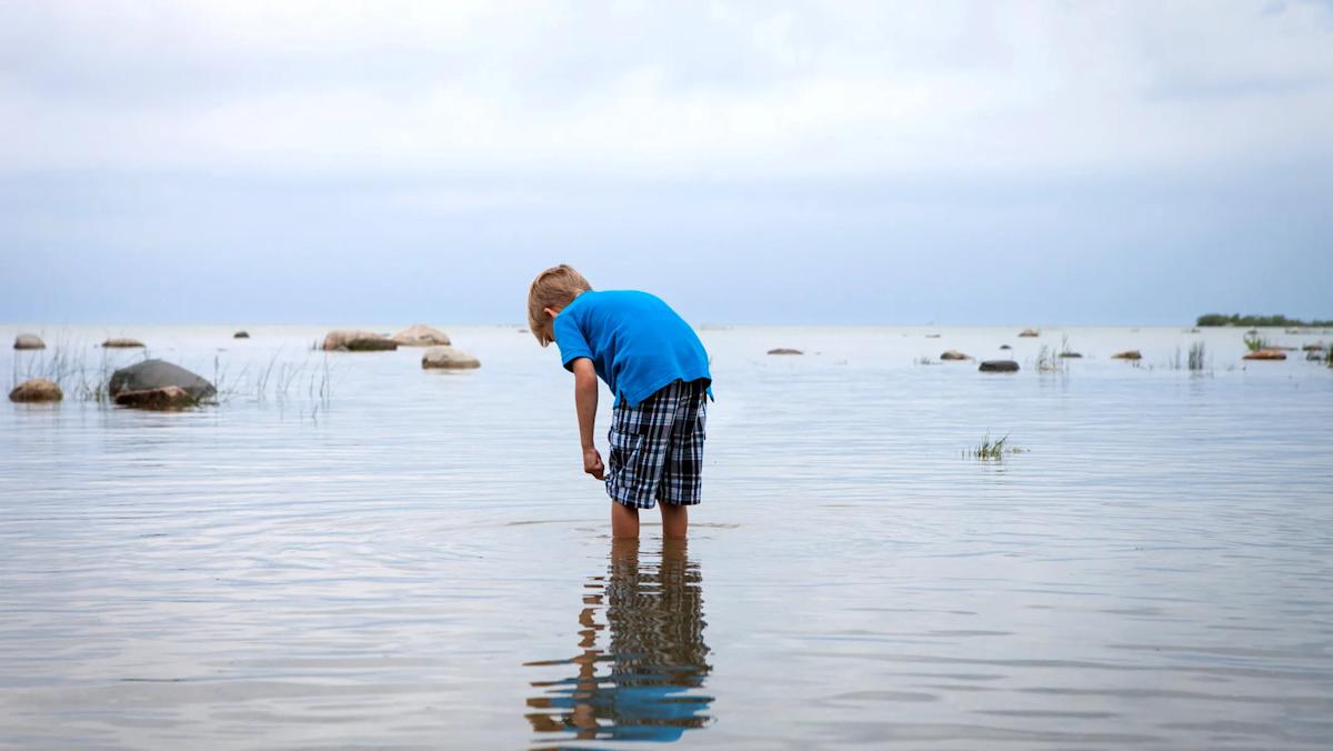 Featured image for Death Confirmed from Rare Brain-Eating Amoeba in Southern Lake