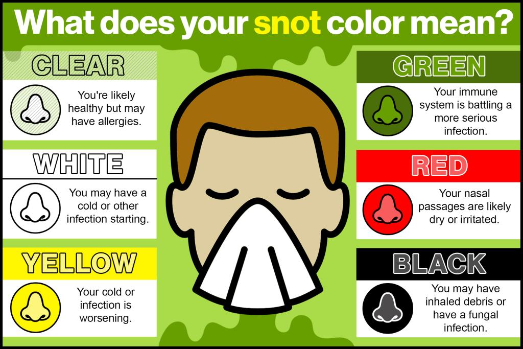 Featured image for Decoding Your Health Through Snot Color