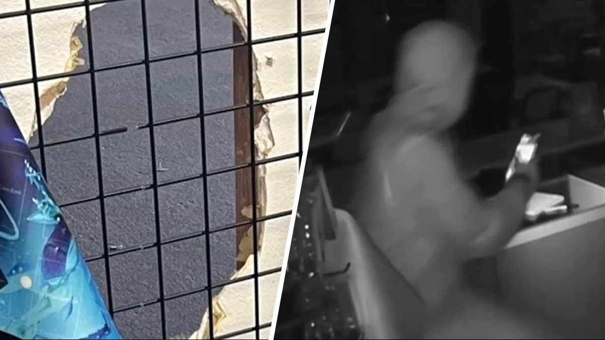 Trading Card Thefts: Burglars and Thieves Strike in Hemet and Japan