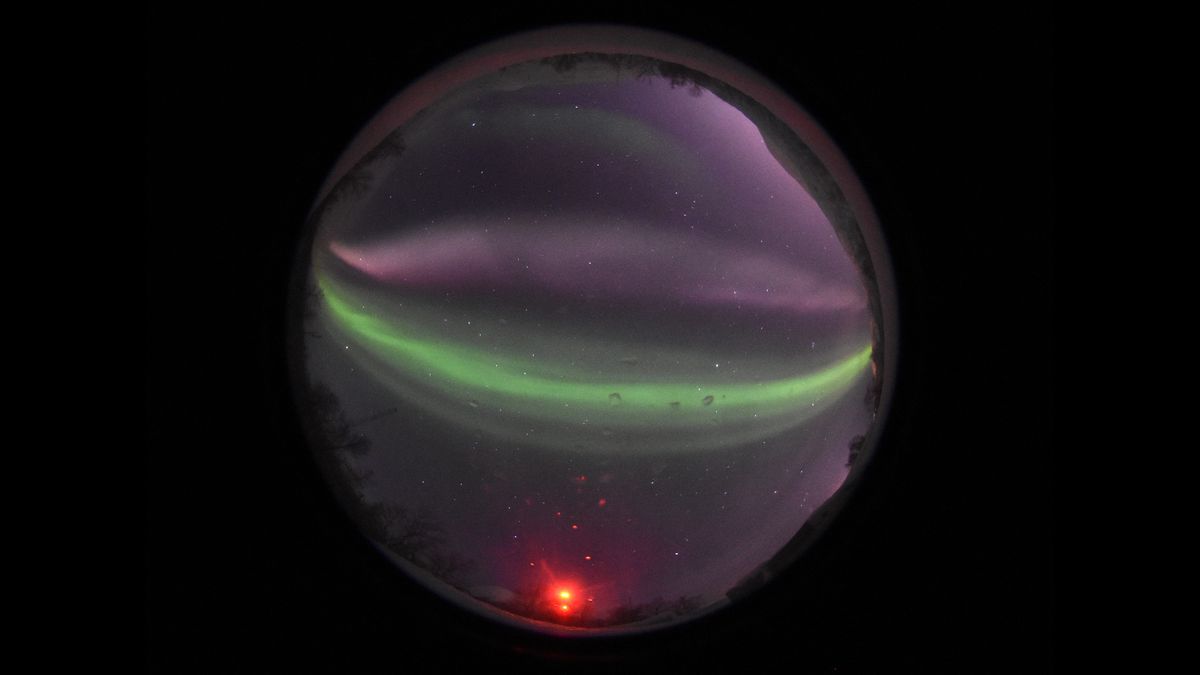 Featured image for "STEVE's Secret Twin: Dawn's Mysterious Purple Ribbon Revealed"