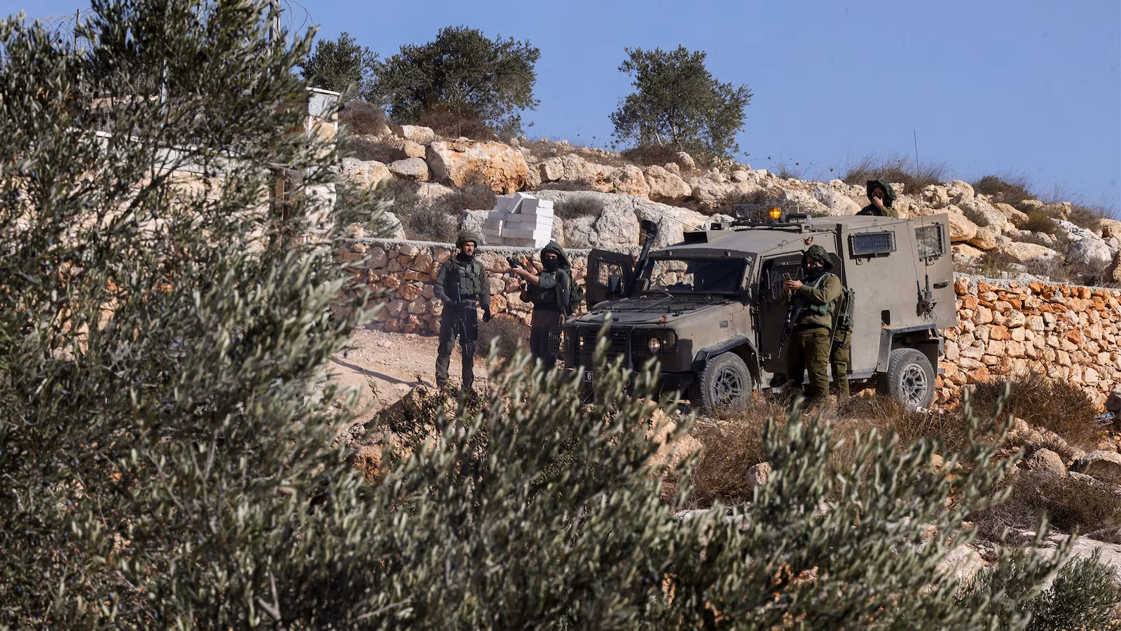 Featured image for Violence Escalates in West Bank Amid Olive Harvest and Settler Attacks