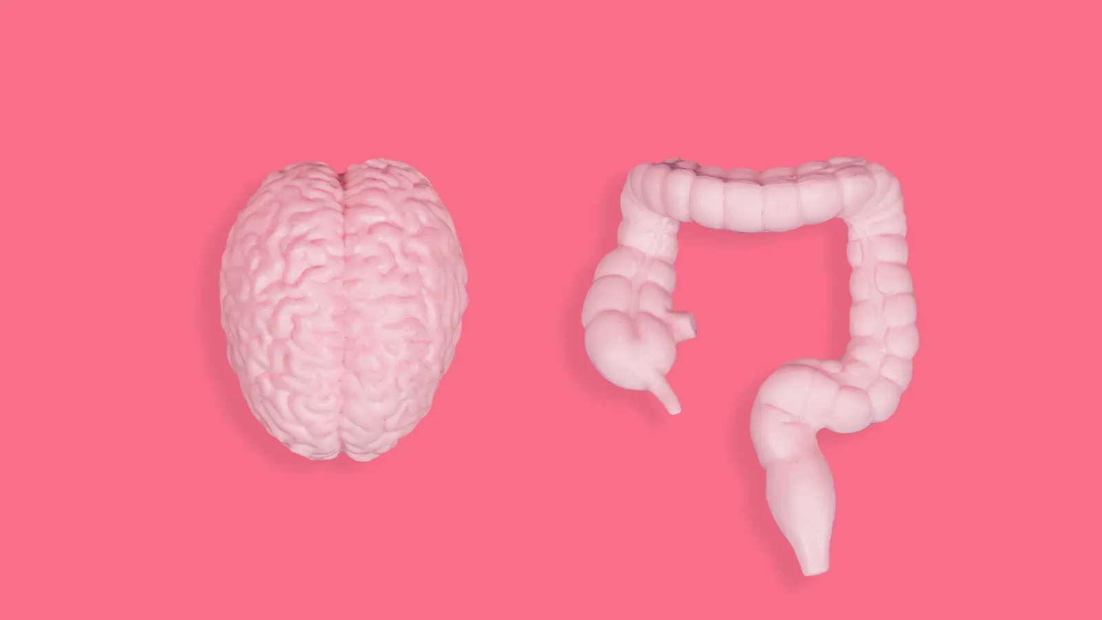 Featured image for How Gut Microbes Secretly Shape Your Mental Health and Stress