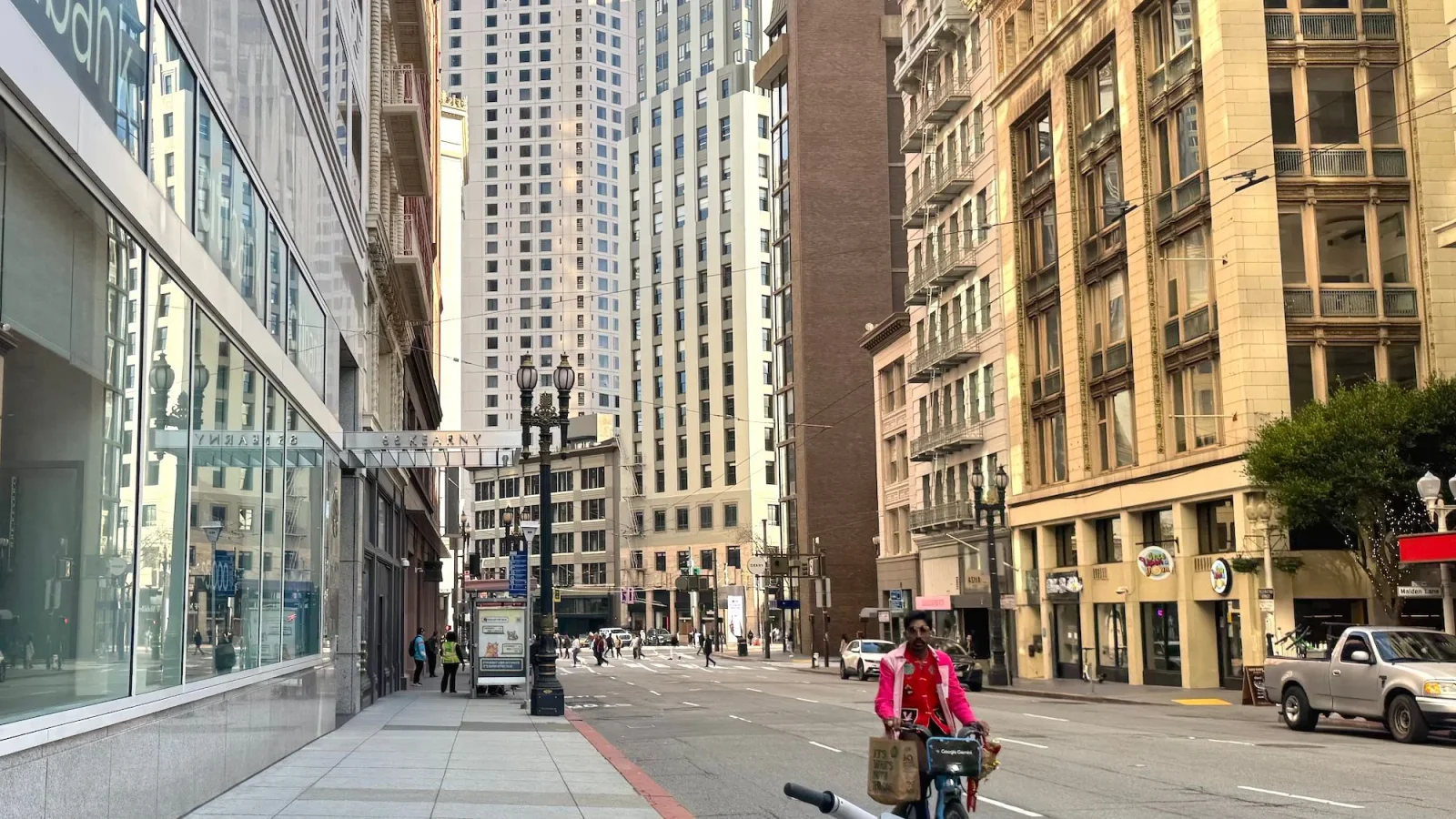 Bird Flu Found in California Elephant Seals Triggers Beachgoer Warnings