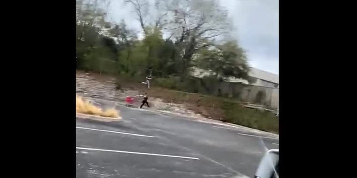 Featured image for "Accused Cyclist Killer Attempts Escape During Medical Appointment"
