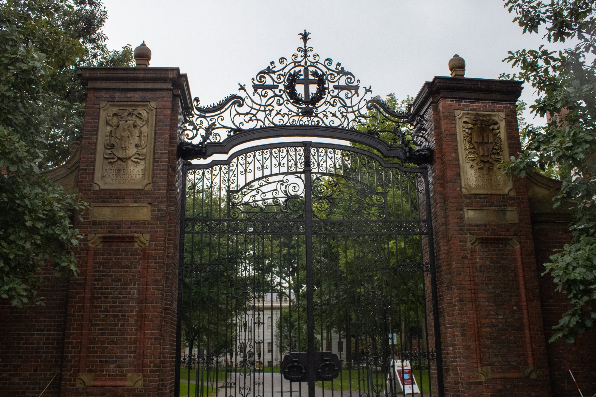 Featured image for Colleges Urge International Students to Return Before Trump Inauguration