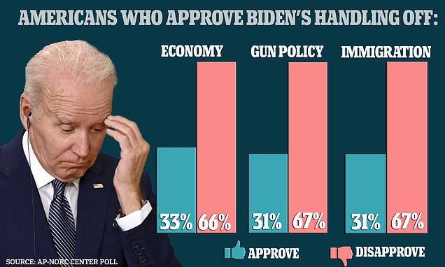 Majority of Americans Disapprove of Biden's Handling of Key Issues: Poll