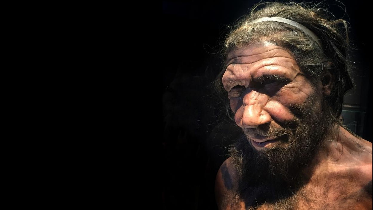 Featured image for Gene Differences Between Humans and Neanderthals May Explain Their Disappearance