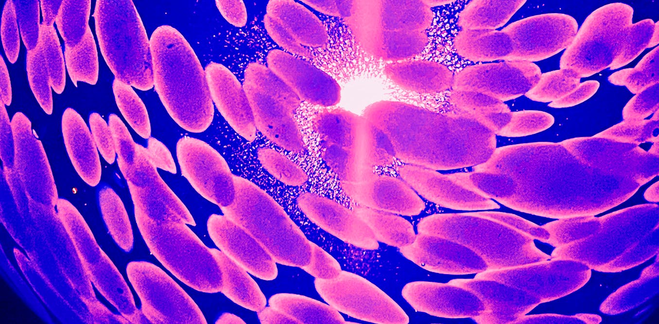 Featured image for "Accelerating Pediatric Cancer Treatment with Personalized Precision Medicine"