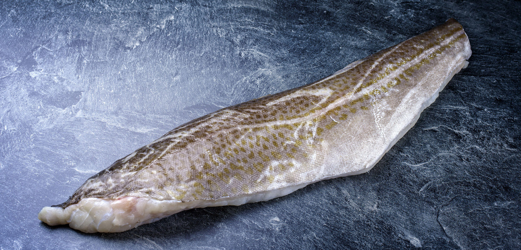 Featured image for "Preserving Marine Life: Ensuring No Fish is Left Behind"