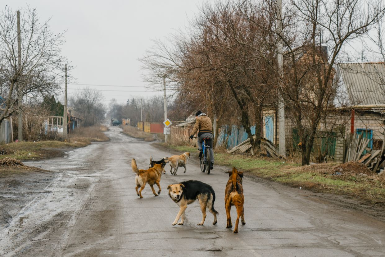 Featured image for "Escalating Russian Attacks Threaten Eastern Ukrainian Towns"