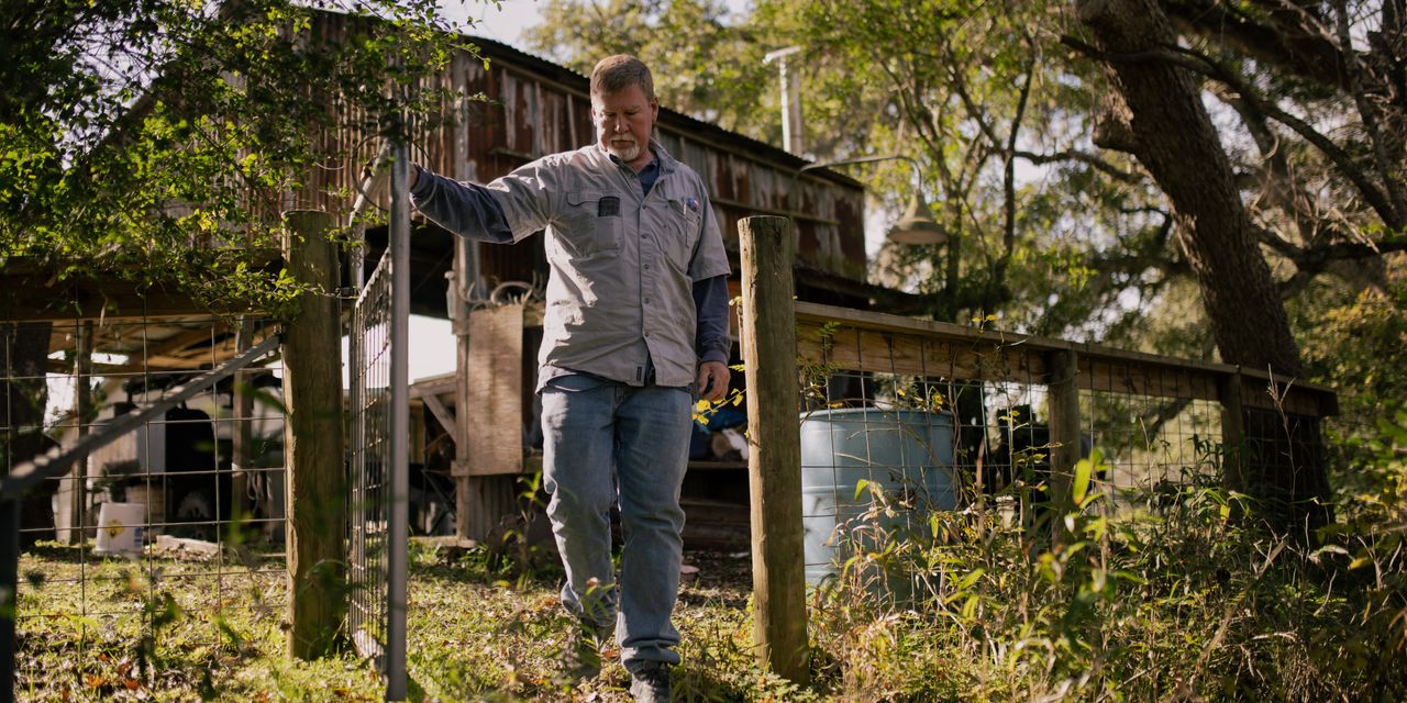 "Texas County's Battle Against Surging Monkey Population"