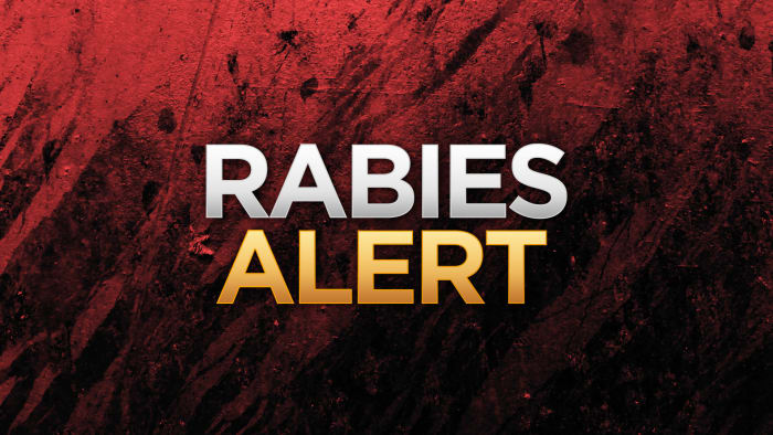"Rabies Outbreak Hits Texas Hill Country: 14 Confirmed Cases and Counting"