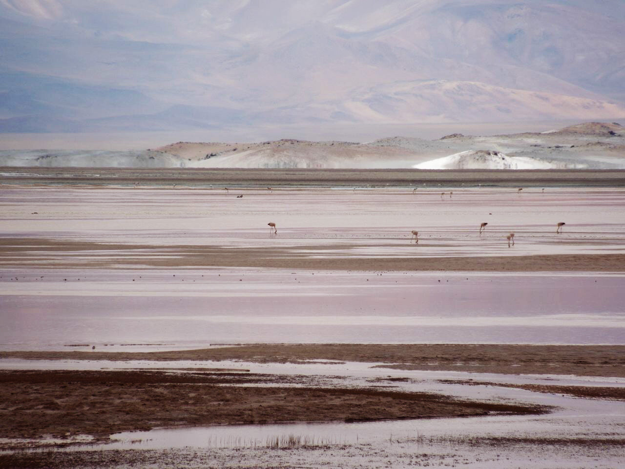 Unveiling the Science of Earth's Salt Flats.