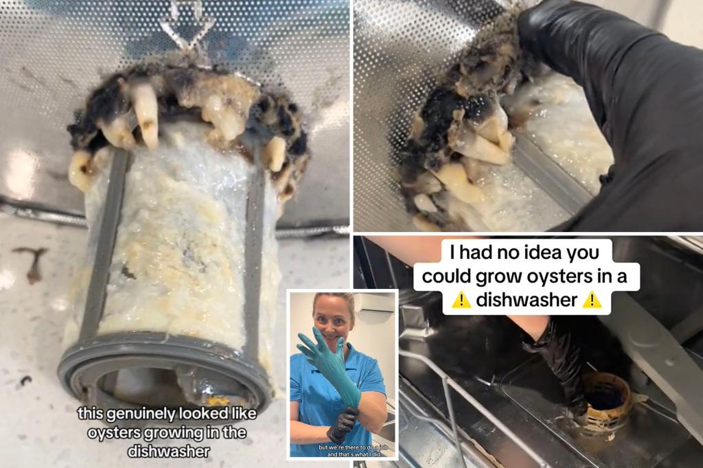 Featured image for "Shocking Fungi and Oyster Infestation Found in Client's Disgusting Dishwasher"