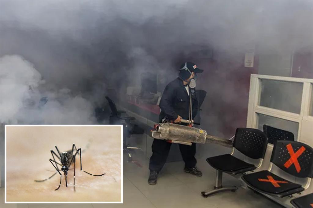 "Dengue Outbreak in Jamaica Sparks Urgent Appeal for Cooperation and Tourist Health Protection"