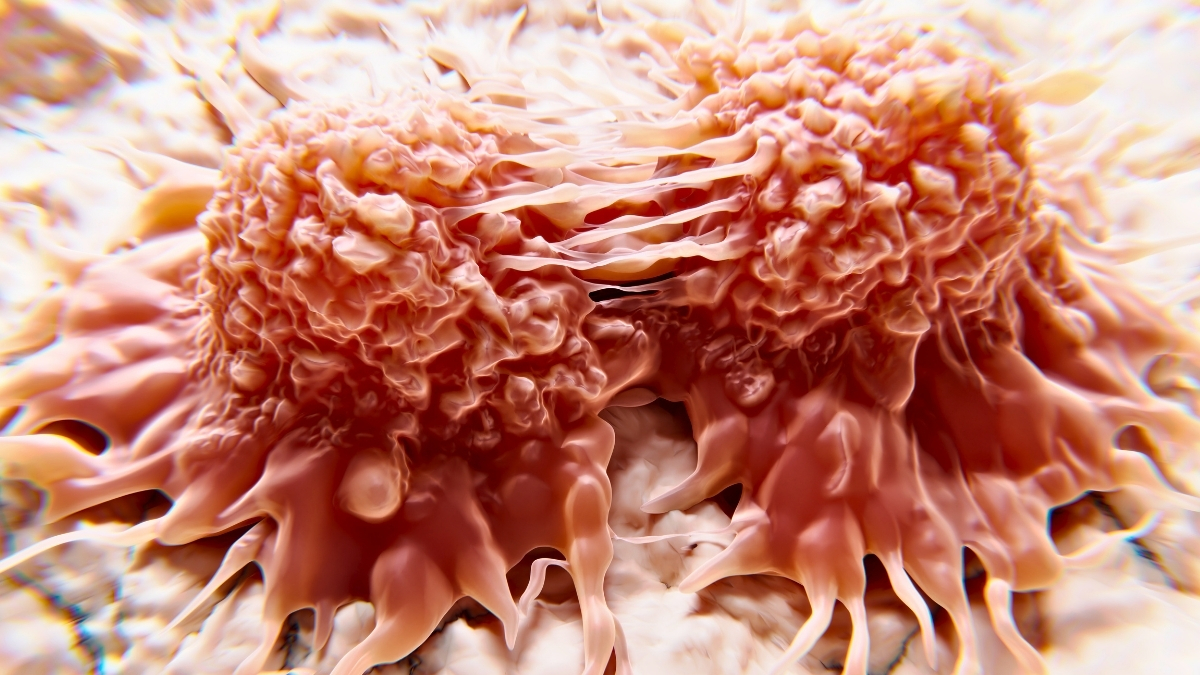 Featured image for Innovative LED Light Therapy Targets and Eliminates Cancer Cells Safely