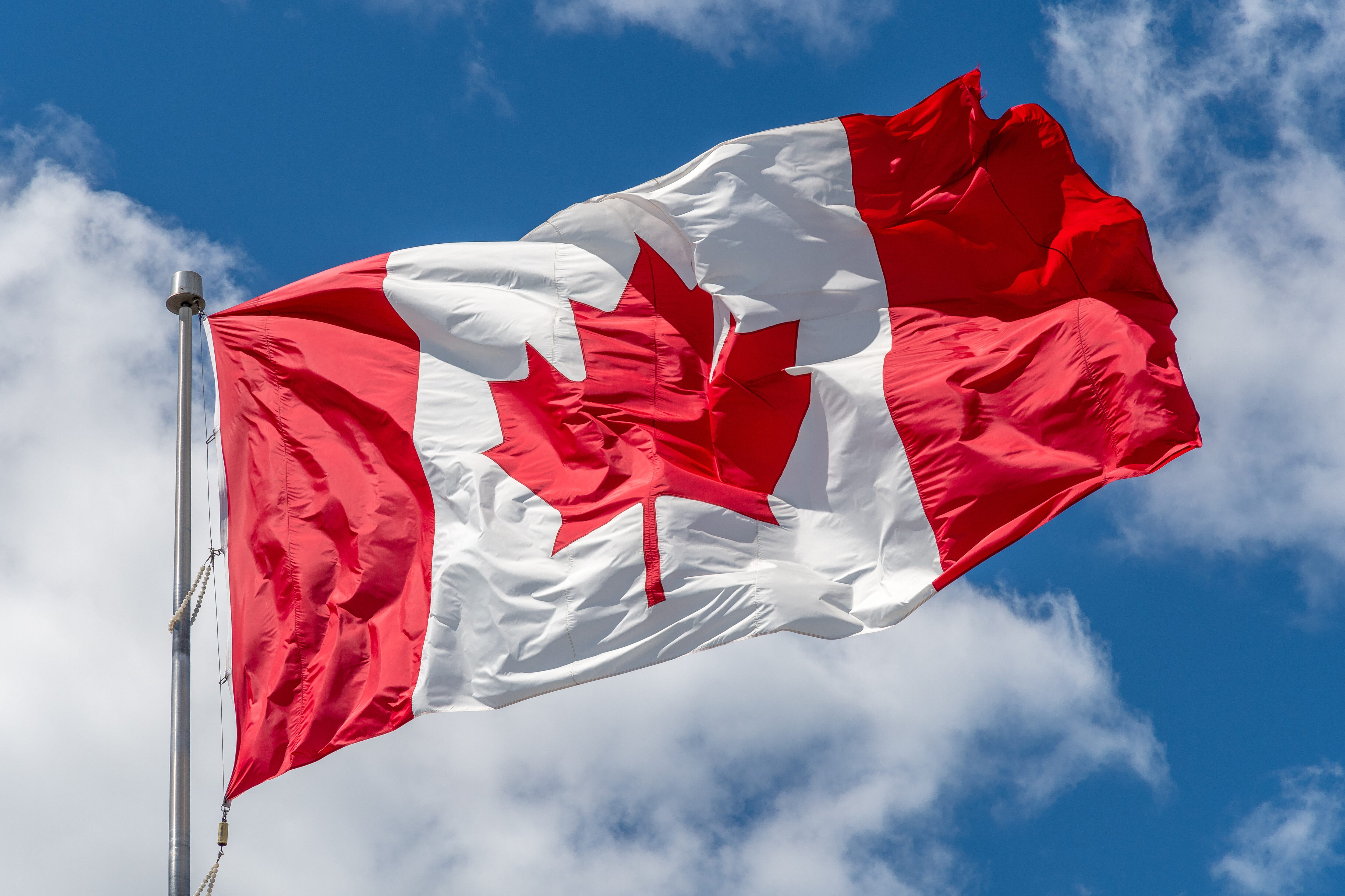 Tourism controversies in Canadian cities lead to changes and resignations.