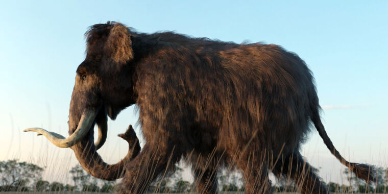 Featured image for "Woolly Mammoth's Epic 600-Mile Journey Unveils Clues to Extinction"