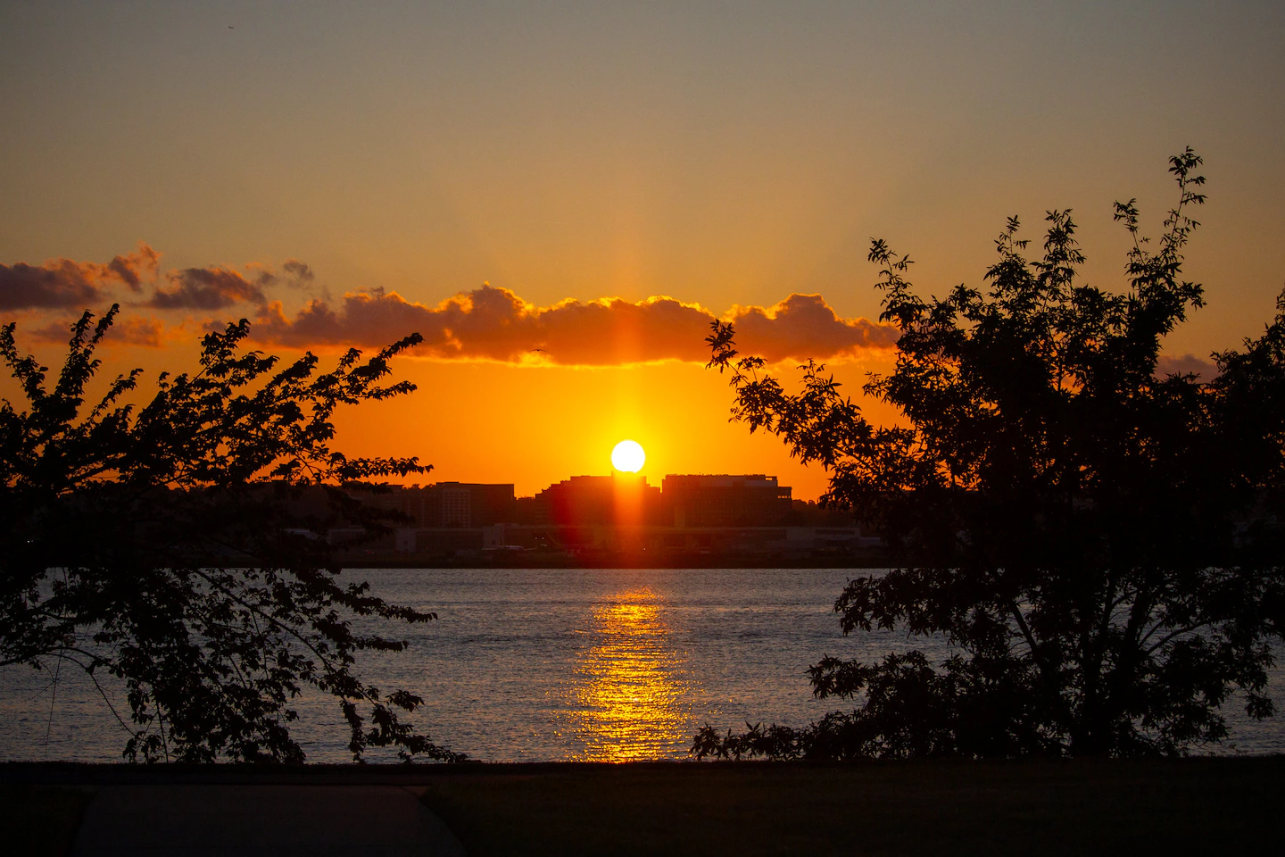 Featured image for Heat and Humidity Return as Summer Peaks in the Northeast