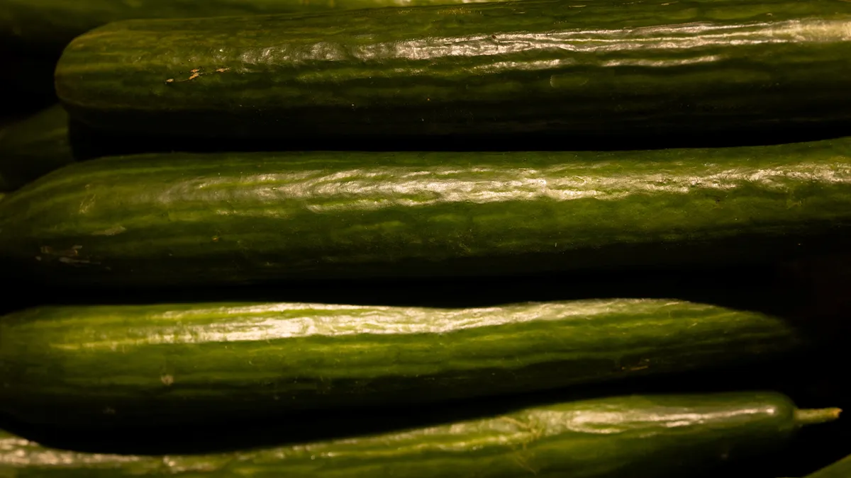 Cucumbers Recalled in 14 States Due to Salmonella Risk