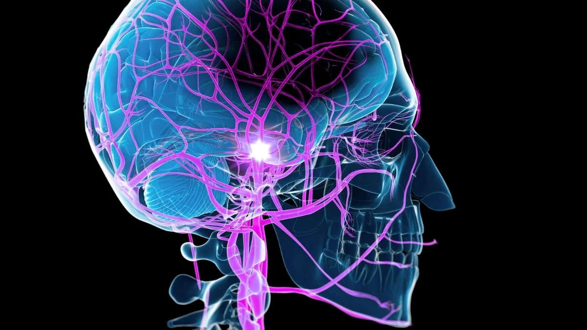 Less-impaired arm training speeds everyday hand function after stroke