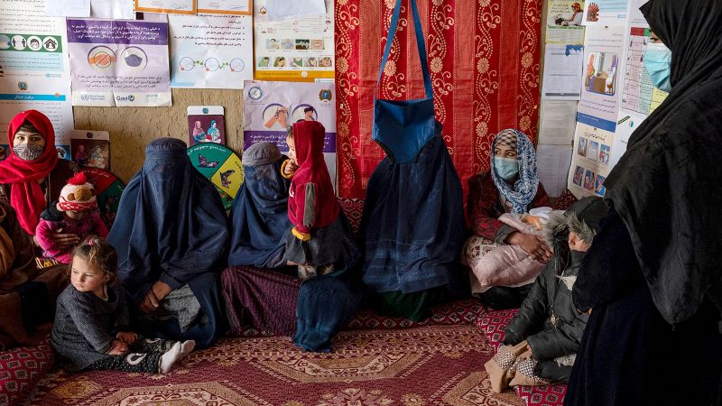 Featured image for UN Reports Record Surge in Child Malnutrition in Afghanistan