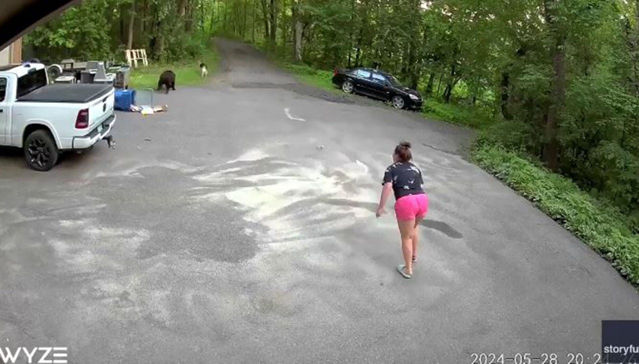 Featured image for Bear Chases Dog and Woman in Maple Grove Driveway: Captured on Video
