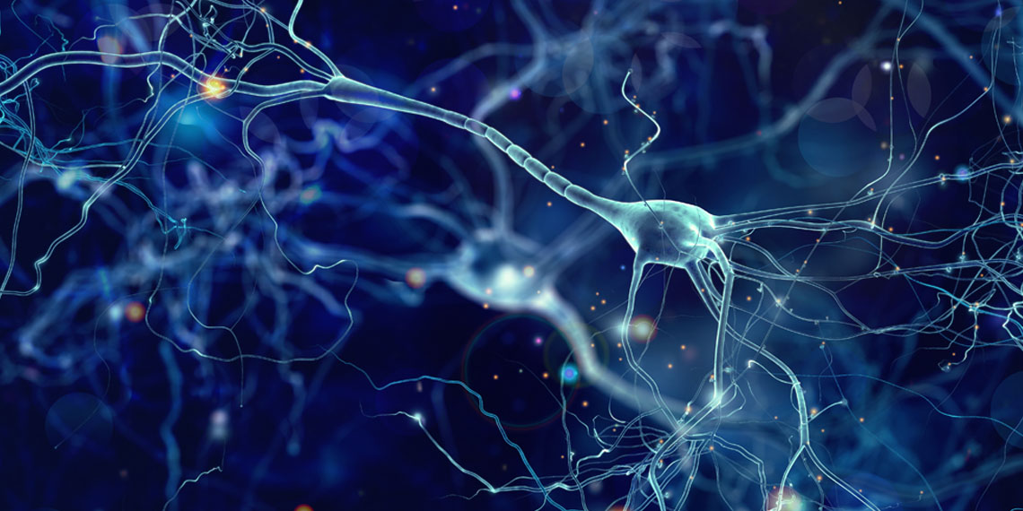 Featured image for The Power of Breath: Synchronizing Neural Activity in the Waking Brain