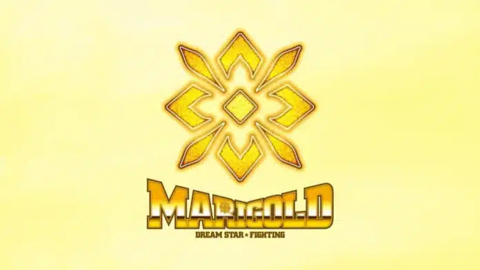 Featured image for Record Number of Bear Attacks Kill Seven in Japan This Year