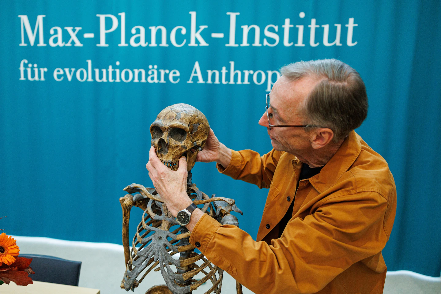 Featured image for Genetic Insights into Human and Neanderthal Brain Evolution