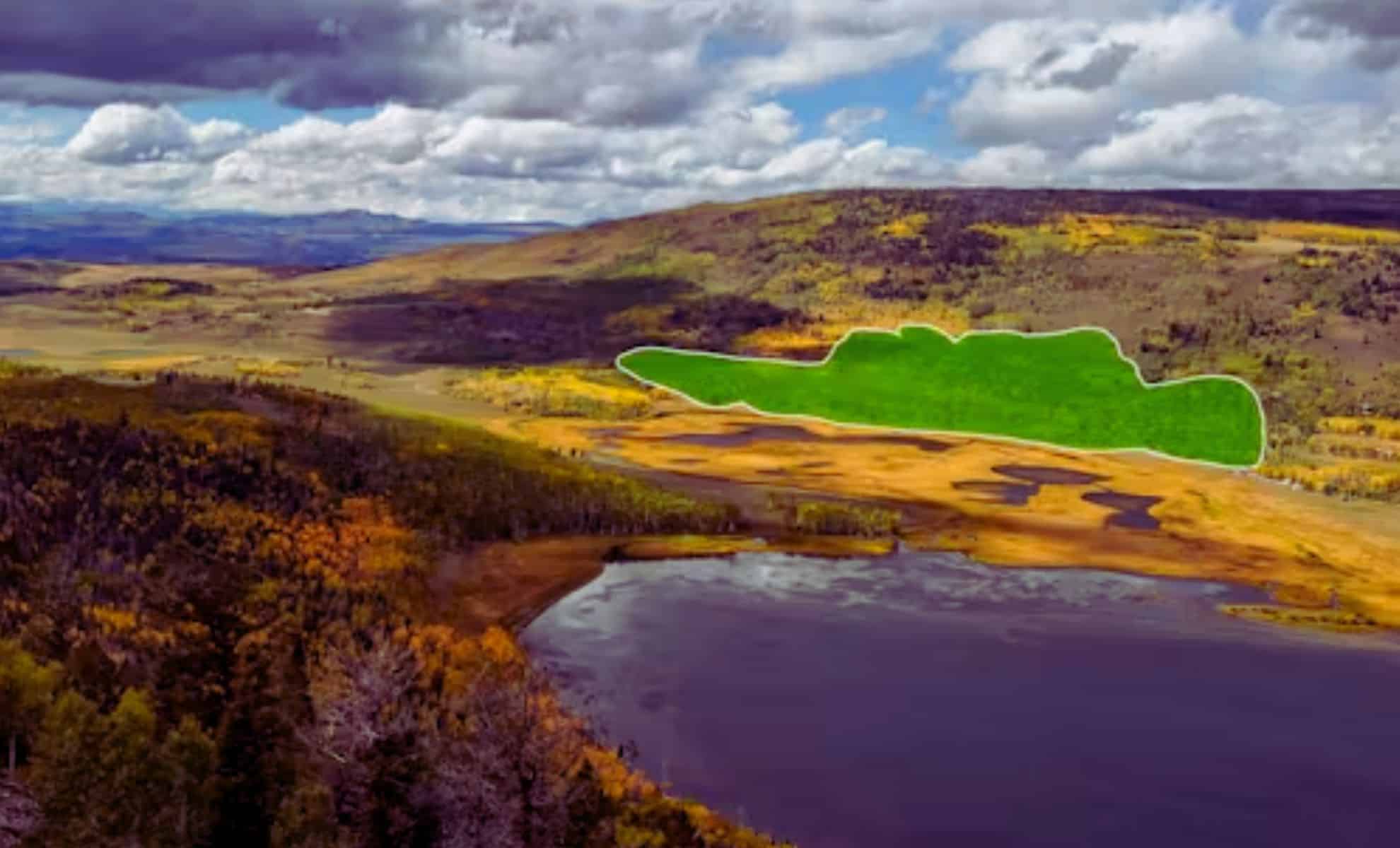 Featured image for Largest Organism Threatened with Extinction