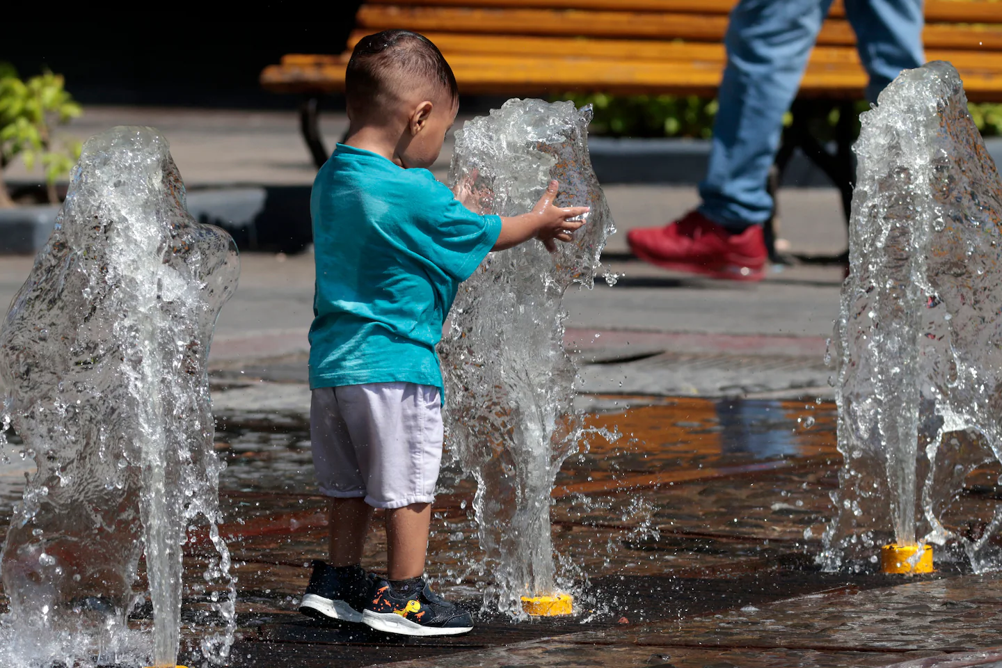 "Deadly Heat Wave in Mexico Threatens Wildlife and Heads for U.S."