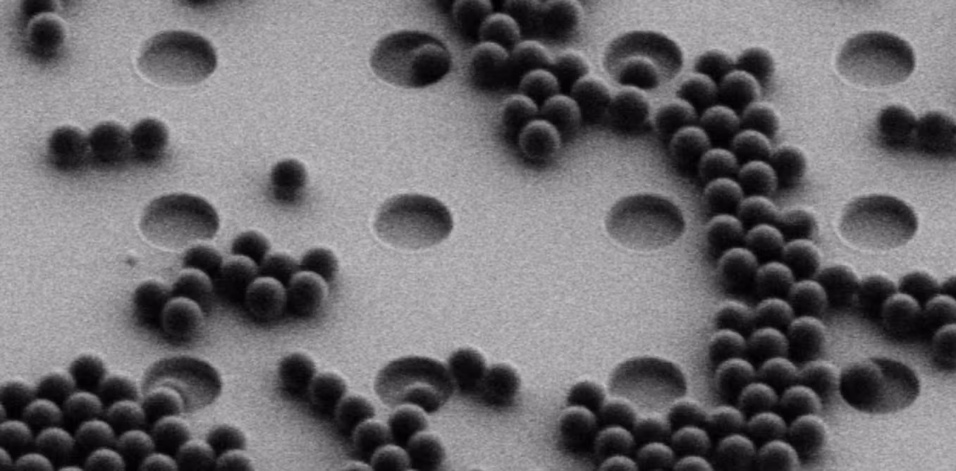 Featured image for Innovative detection methods enhance identification of microplastics and nanoplastics