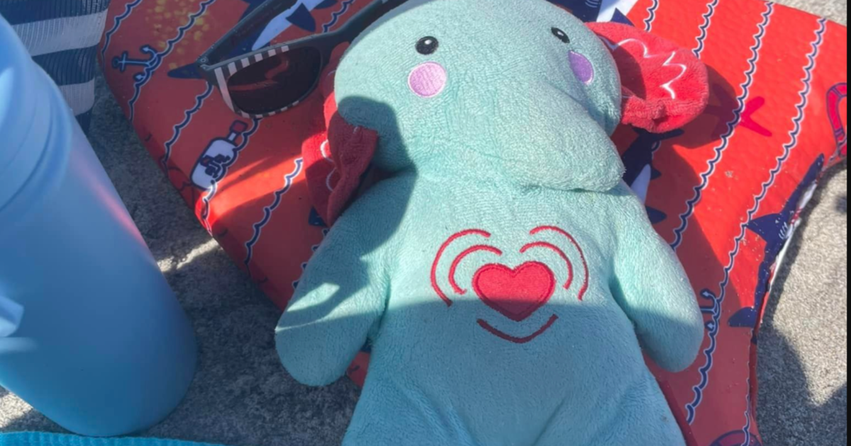 Family's search for lost toy elephant with son's ashes at Disney World